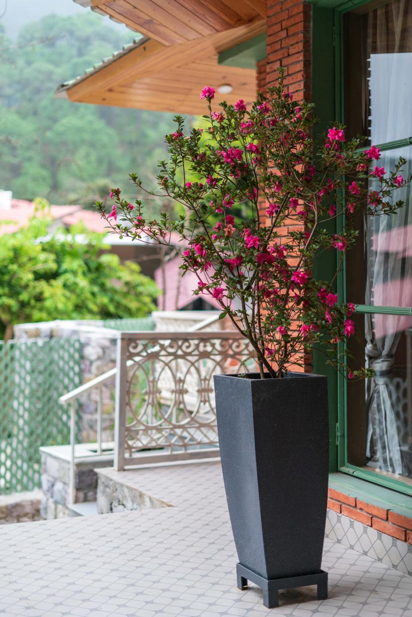 Casa Bhimtal Villa Dış mekan fotoğraf